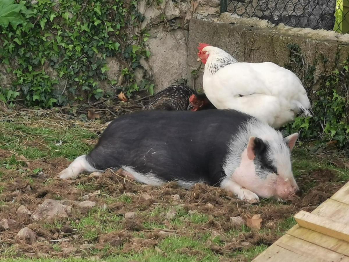Au Domaine De Gigie Bed & Breakfast Chervettes ภายนอก รูปภาพ