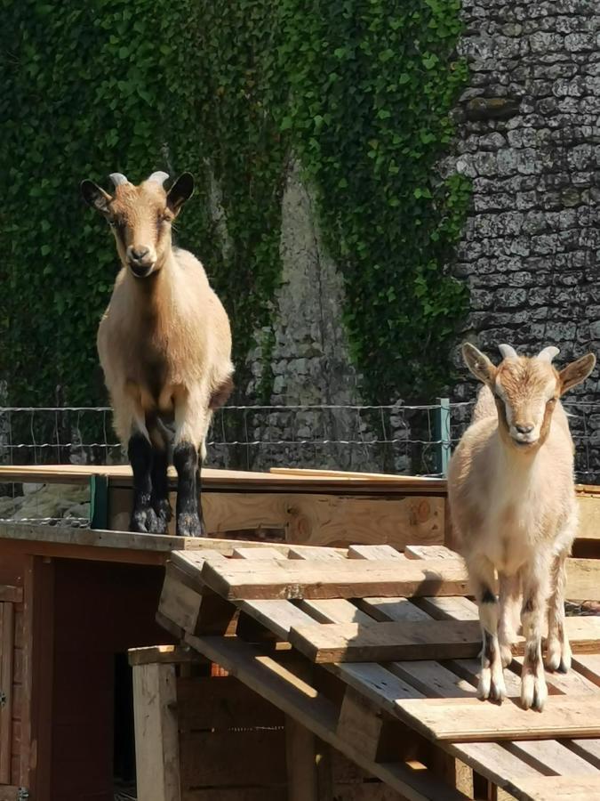 Au Domaine De Gigie Bed & Breakfast Chervettes ภายนอก รูปภาพ